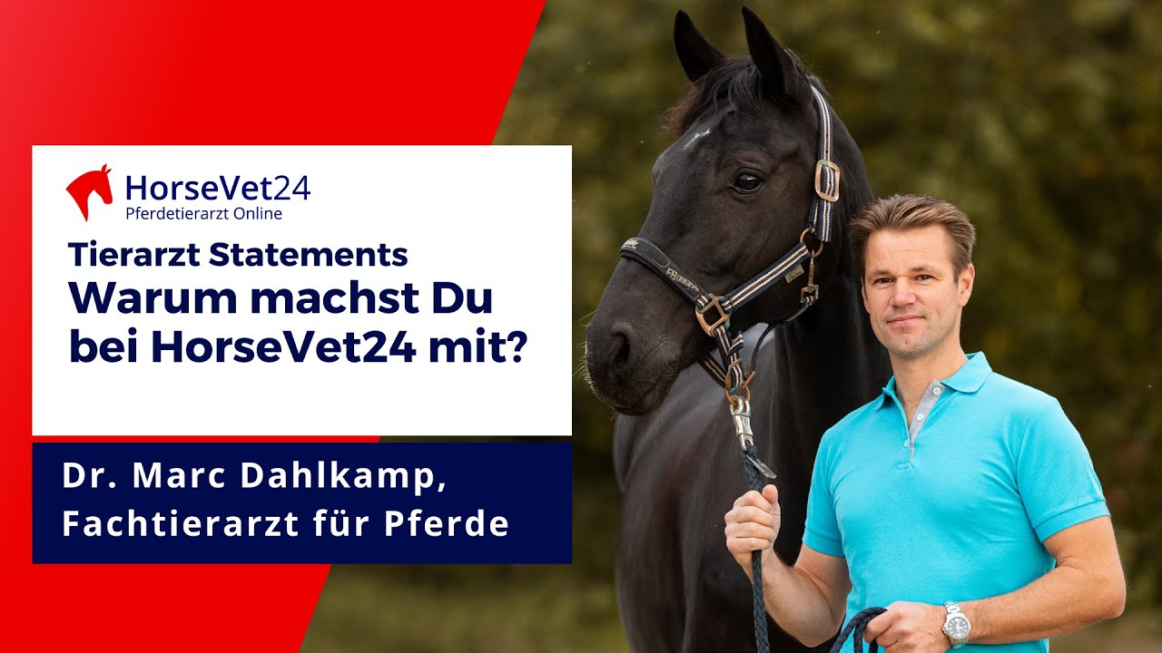 Telemedizin f&uuml;r Pferde: Wir haben Dr. Marc Dahlkamp gefragt, warum er bei HorseVet24 mitmacht?