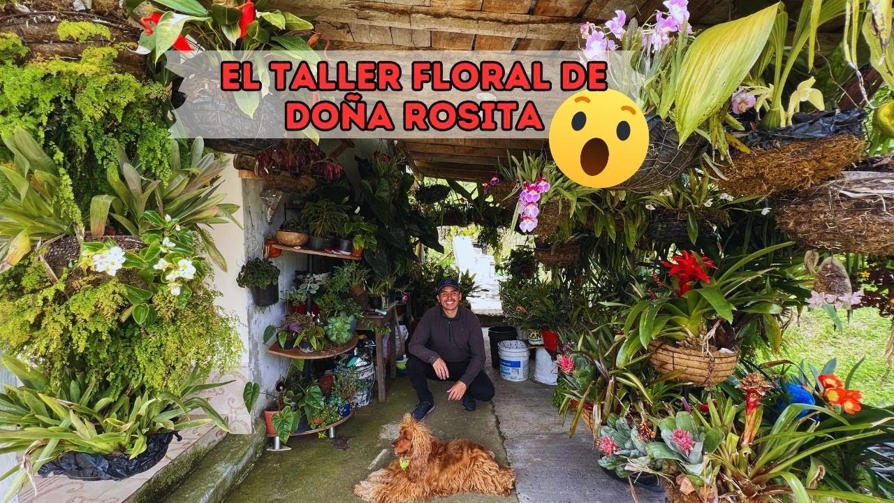 Convirtió su casa en taller de JARDINERÍA, hermosas PLANTAS tropicales de Rosita |AP