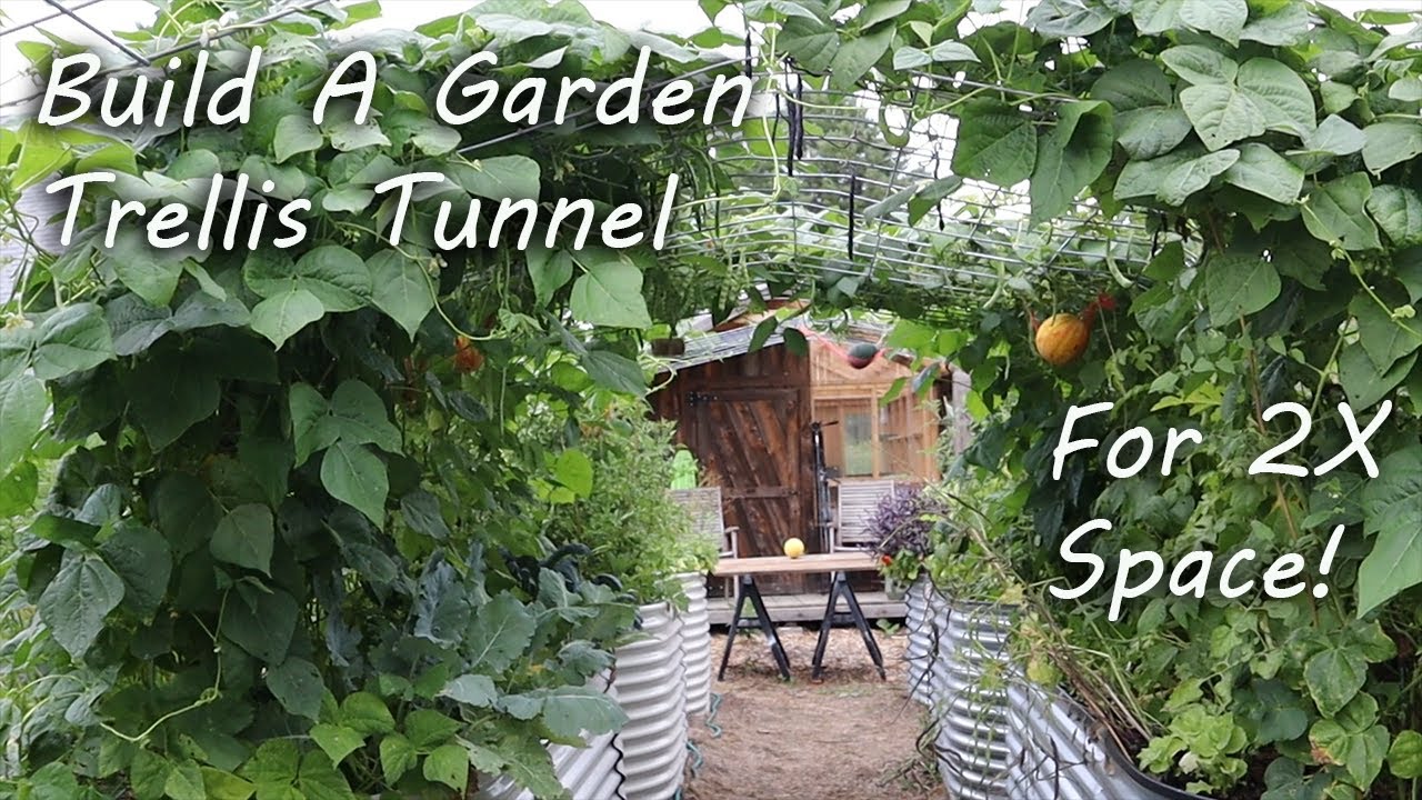 S1E4 Build A Garden Trellis Tunnel & Create Space In Your Garden