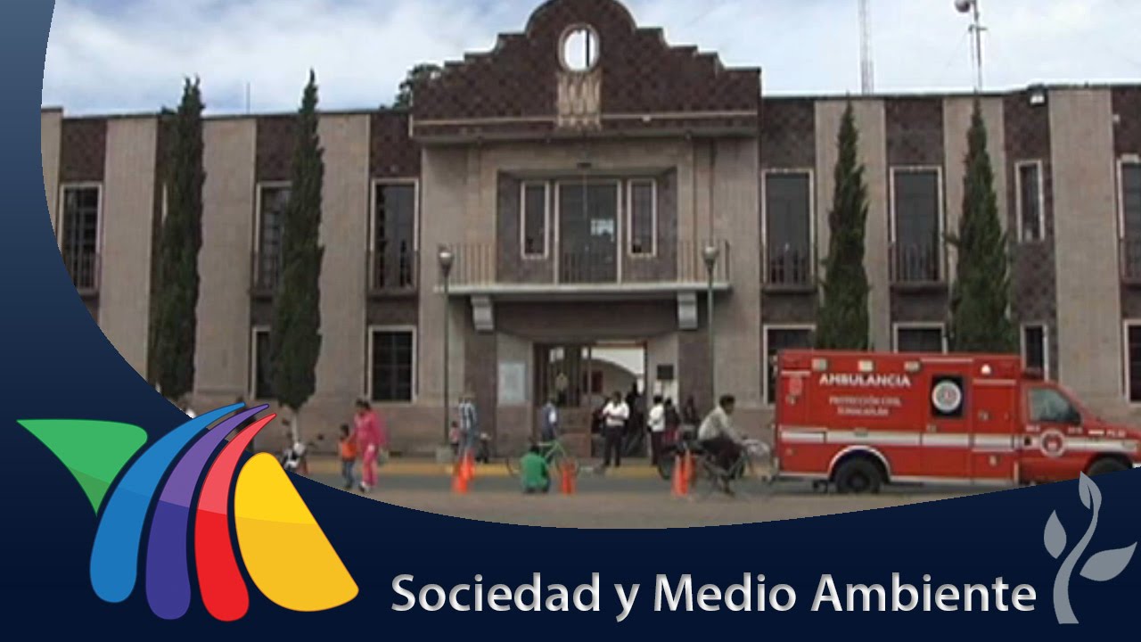 Xonacatlán, pueblo peluchero | Noticias del Estado de México