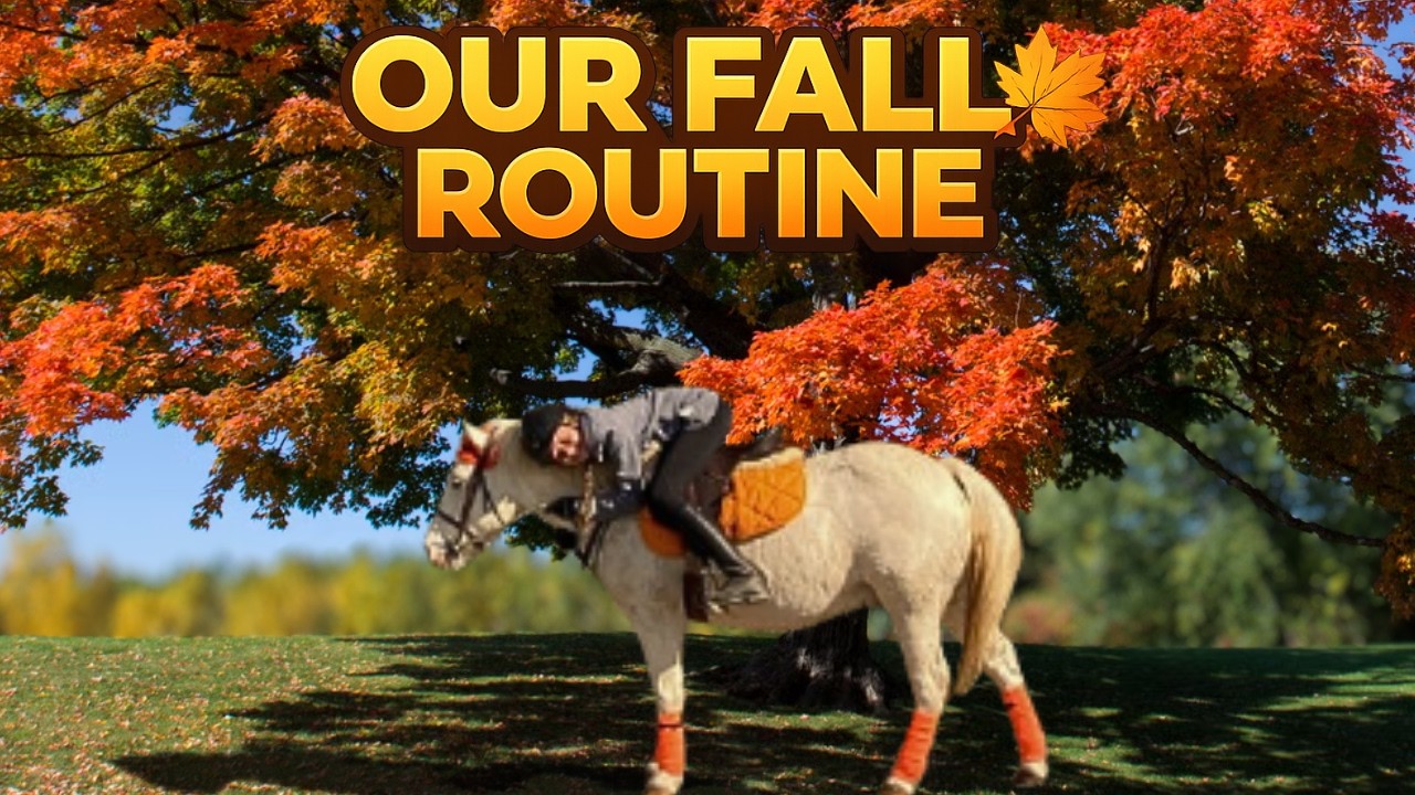 Autumn Day with Frosty 🍁🐴 Practice my dressage test || Barn Vlog