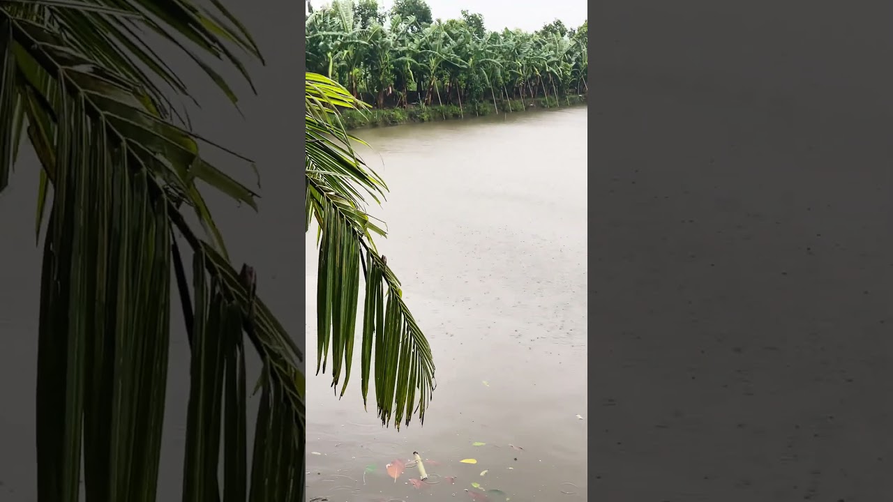 B&atilde;o số 10 đổ bộ đất liền #thoitiet #dbtt #vtvwdb #bantinthoitiet #thoitietvtv #dubaothoitiet