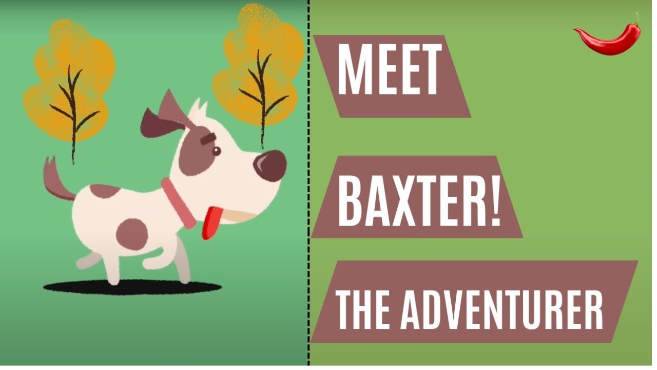 Baxter, le chien | Animation | E.G Media Productions