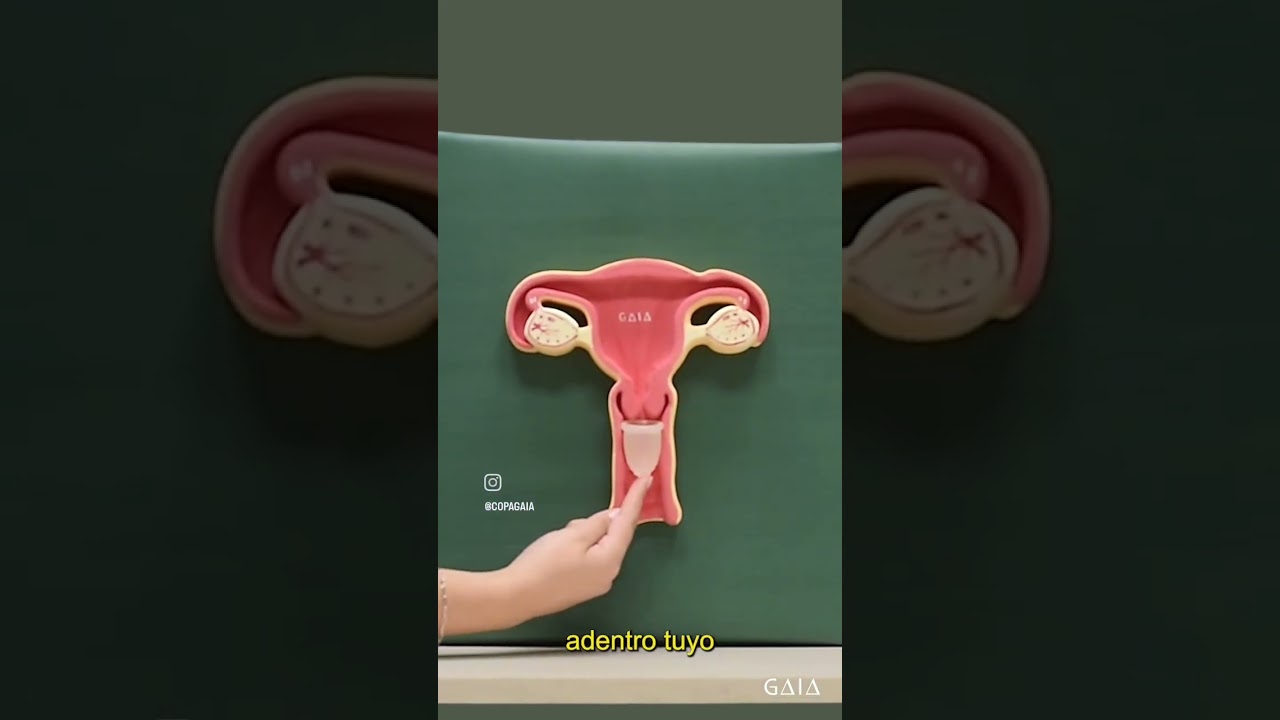 &iquest;C&Oacute;MO COLOCAR LA COPITA? - Copa GAIA   #copamenstrual #menstruaci&oacute;nconsciente