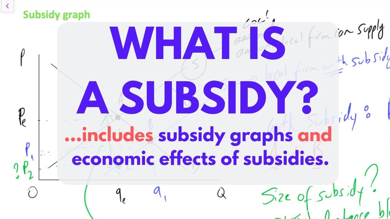 What is a SUBSIDY? (Subsidies EXPLAINED)