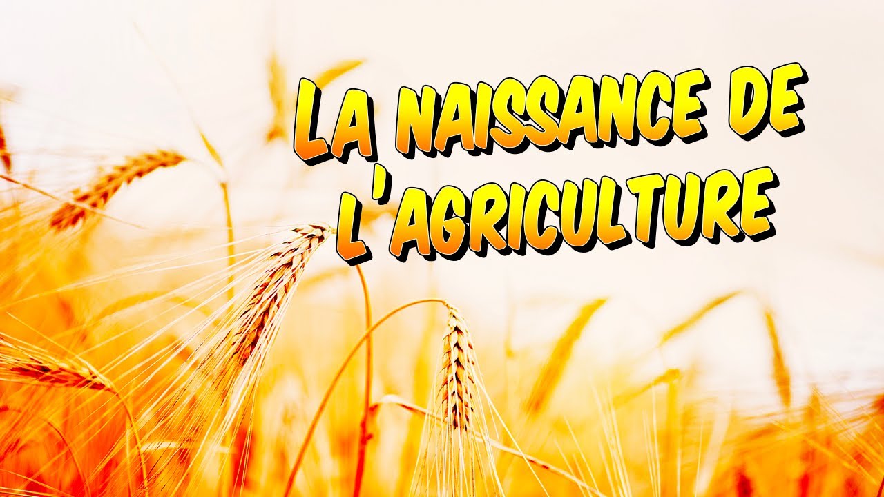 Histoire - La naissance de l'agriculture