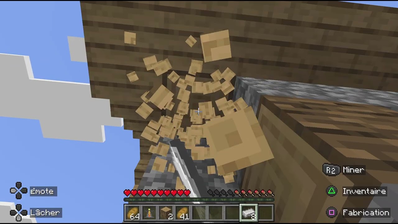 Minecraft_20260222114739