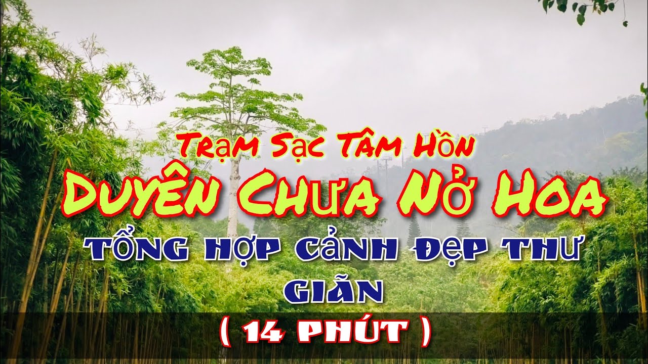 Duyên Chưa Nở Hoa | Tuyển tập cảnh đẹp | Không tự đến | Không tự đi #phatphap #loiphatday