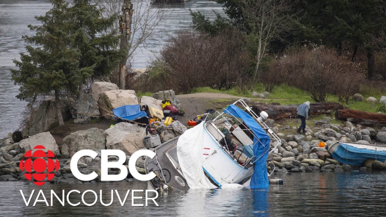 What's in the water at False Creek?