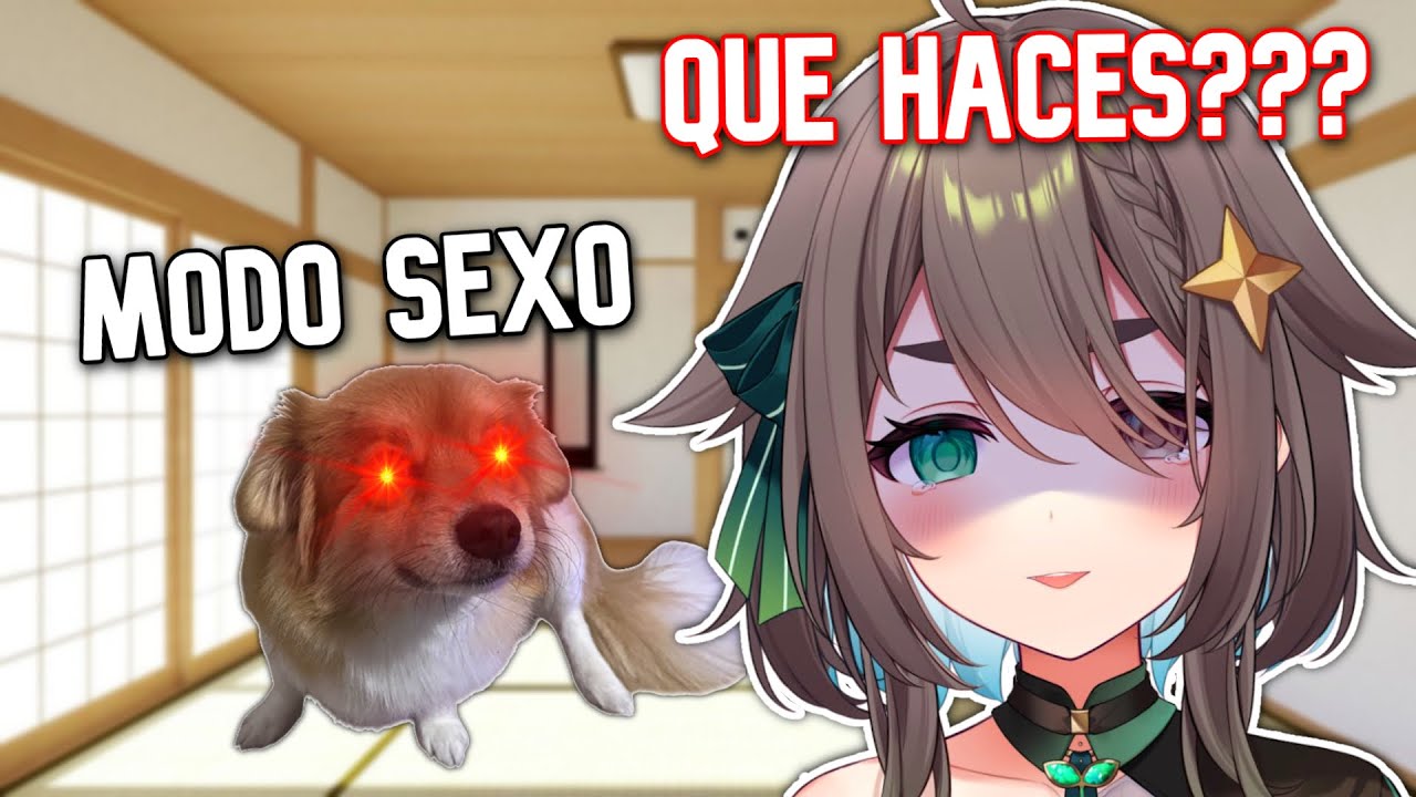 CHIBI SE REVELA CONTRA MEICA