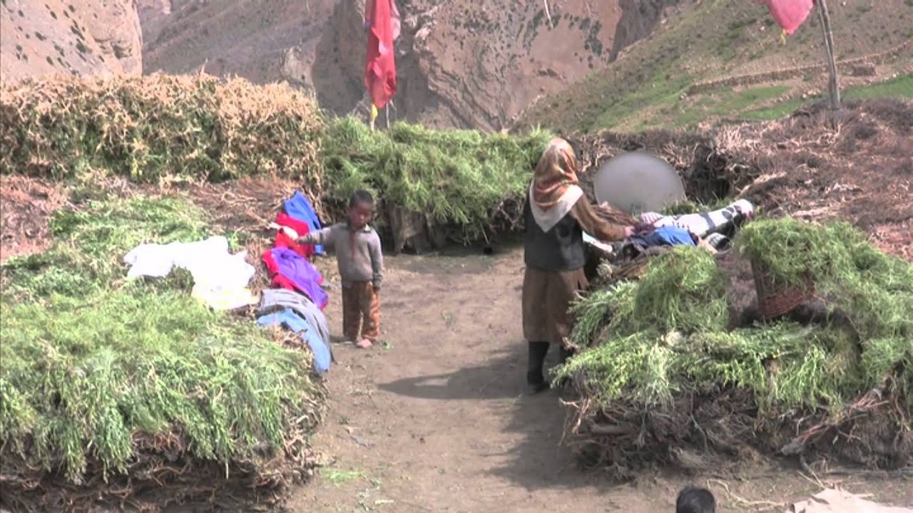 SPITI: The Valley of Dharma