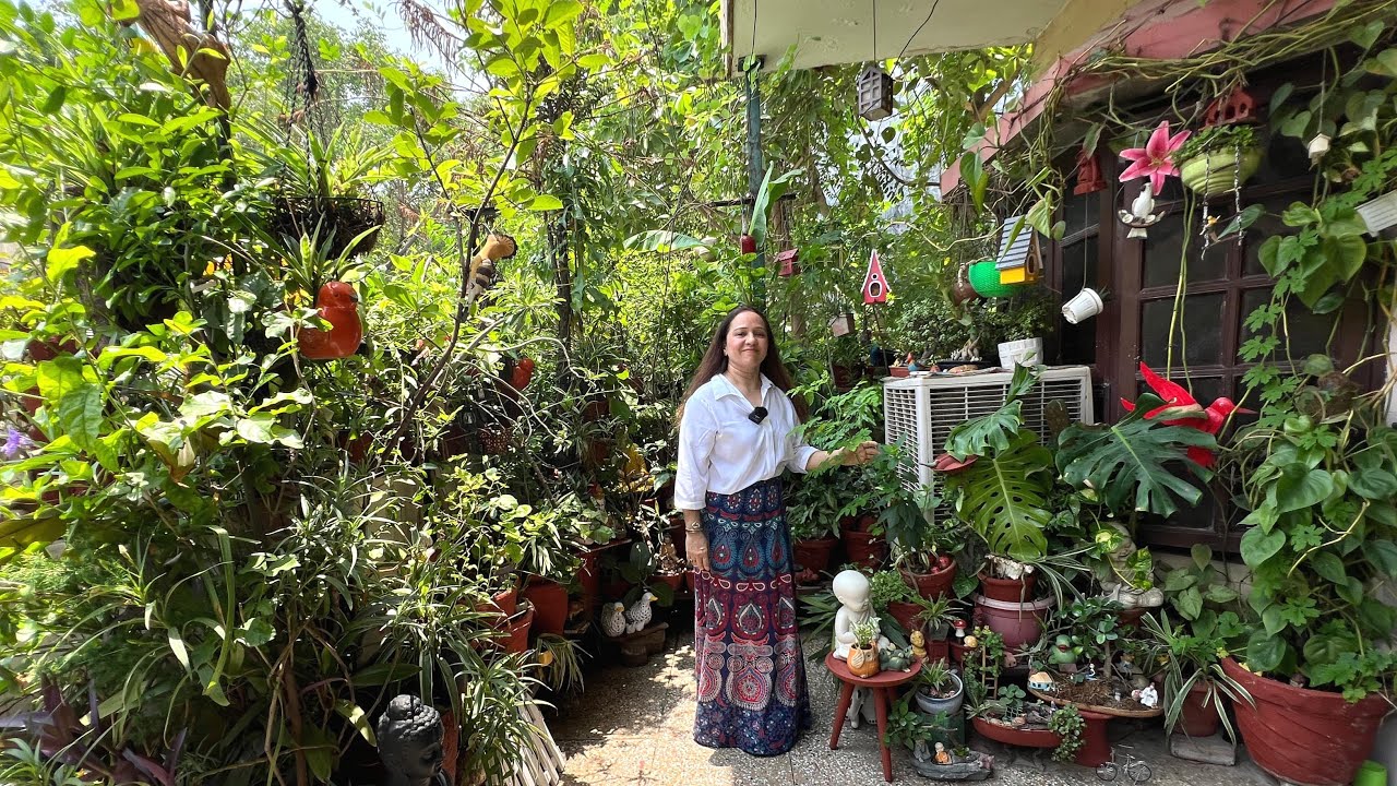 कब 3 से 300 पौधे होगये पता नहीं चला और BALCONY जंगल बन गया