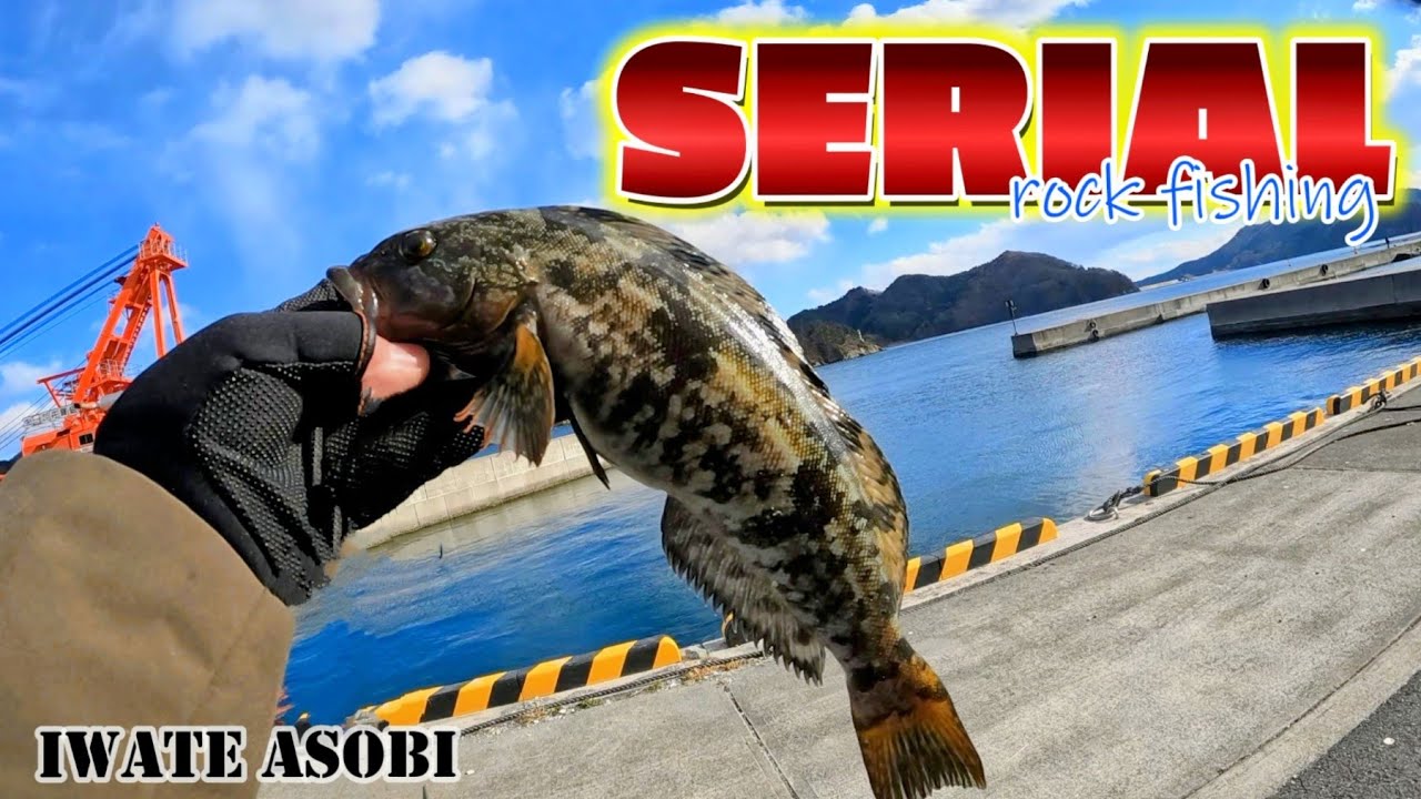 【海釣り】2月の大船渡をランガンキャストしまくったら最後の最後で！？