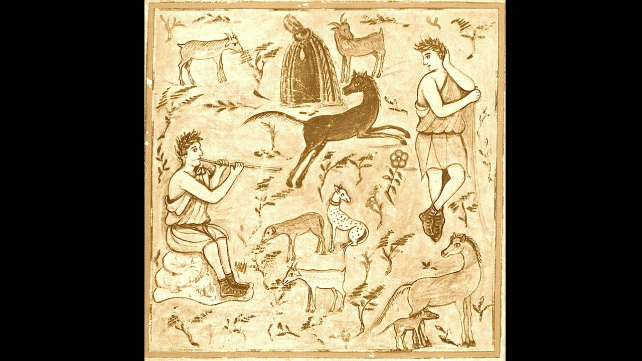 Sefton Lomax - Field Arts