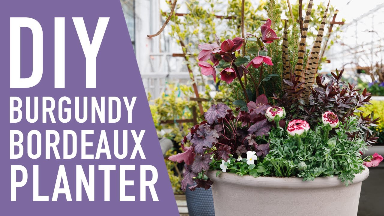 Burgundy Bordeaux Spring Planter 💜 || West Coast Gardens