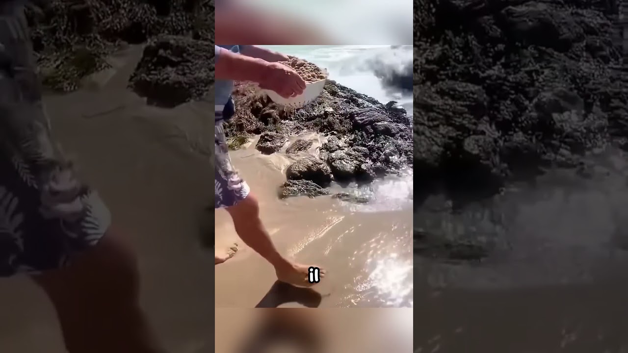 Ces affreuses puces de sable 😱 #shorts