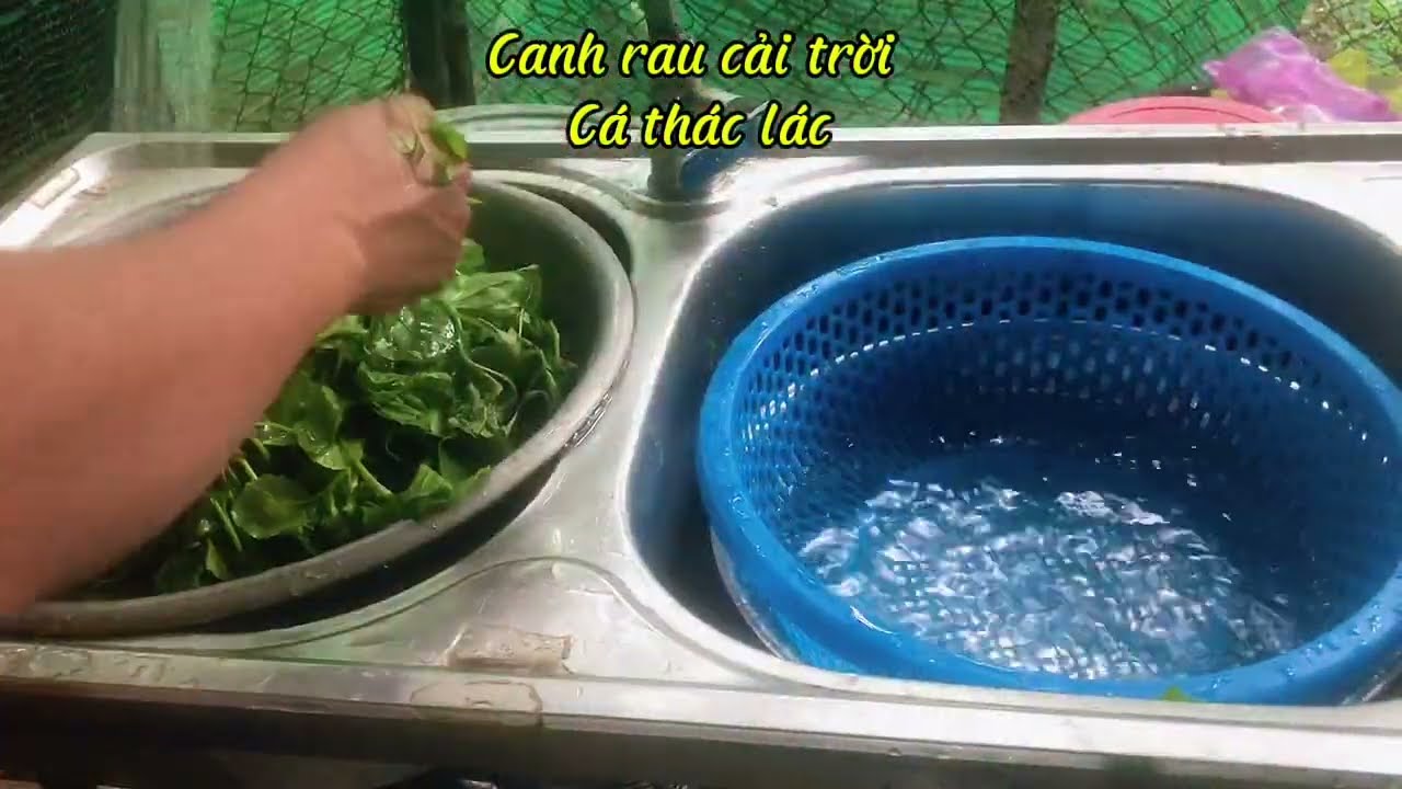 Canh rau; canh rau cải trời; cá thác lác 