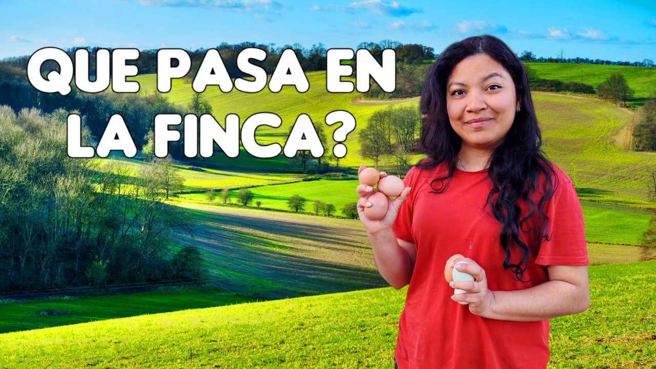 Cuando las expectativas no corresponden a la realidad (Ep.203)