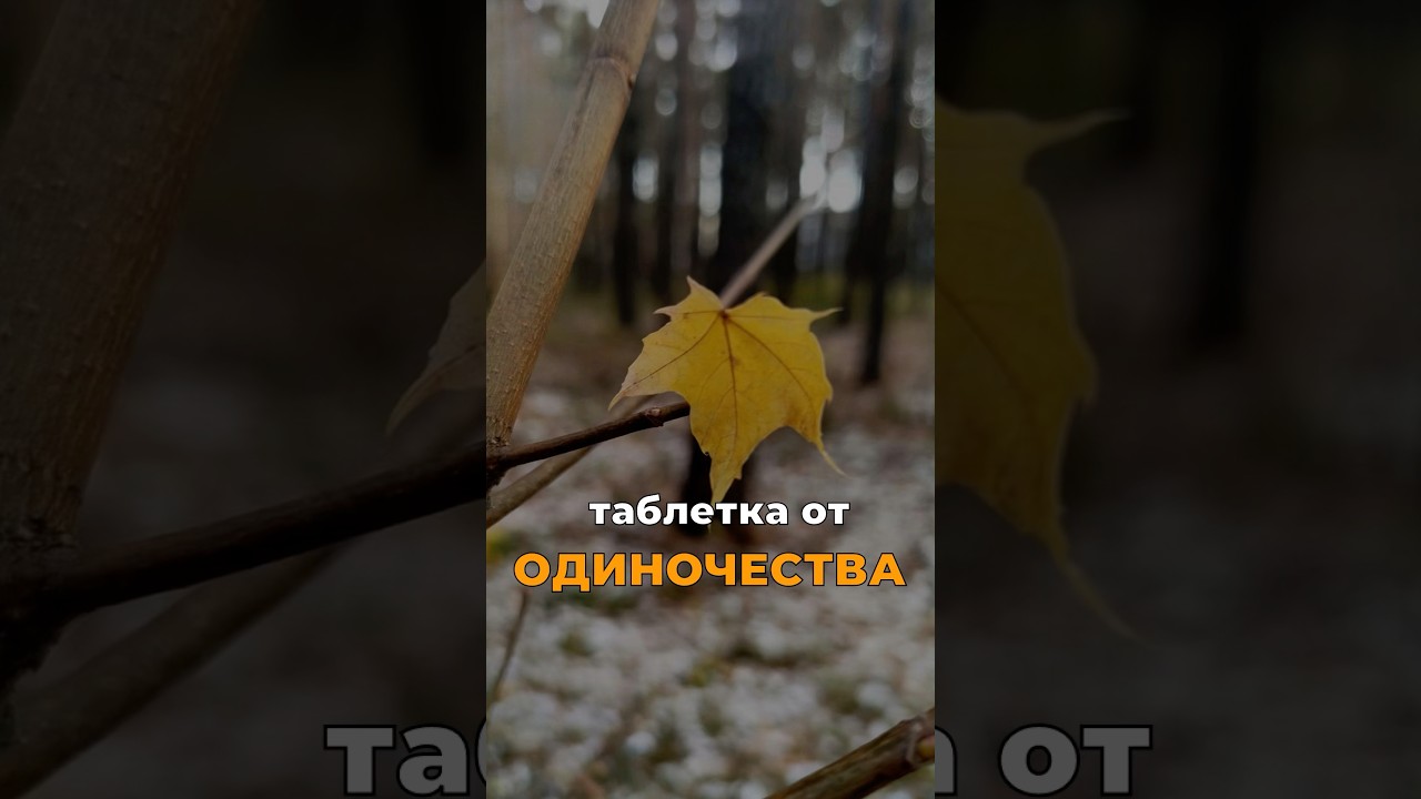 Проявленность таблетка от одиночества.