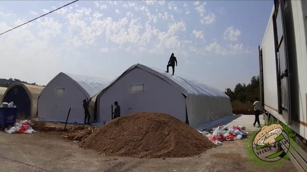 Beyaz Mantar Tesisi Kurma Maliyeti