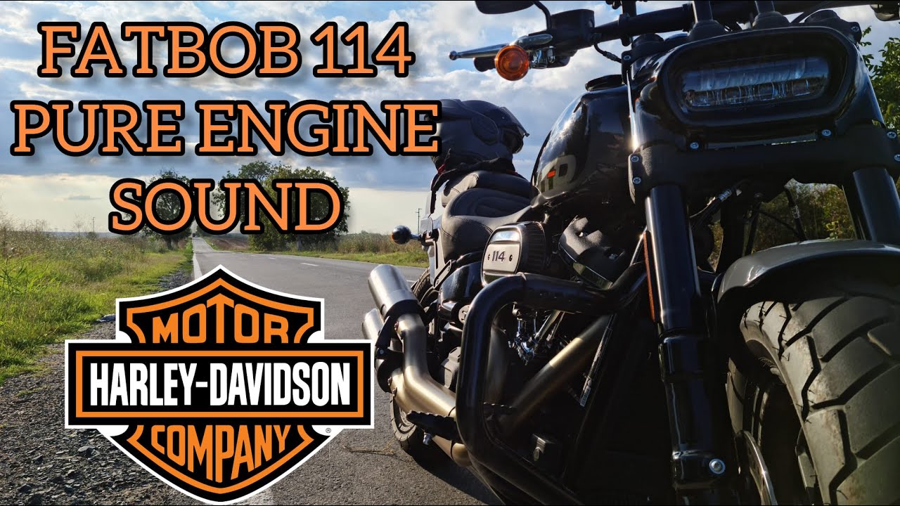 HARLEY-DAVIDSON FATBOB 114 LATE AFTERNOON RIDE | PURE ENGINE SOUND