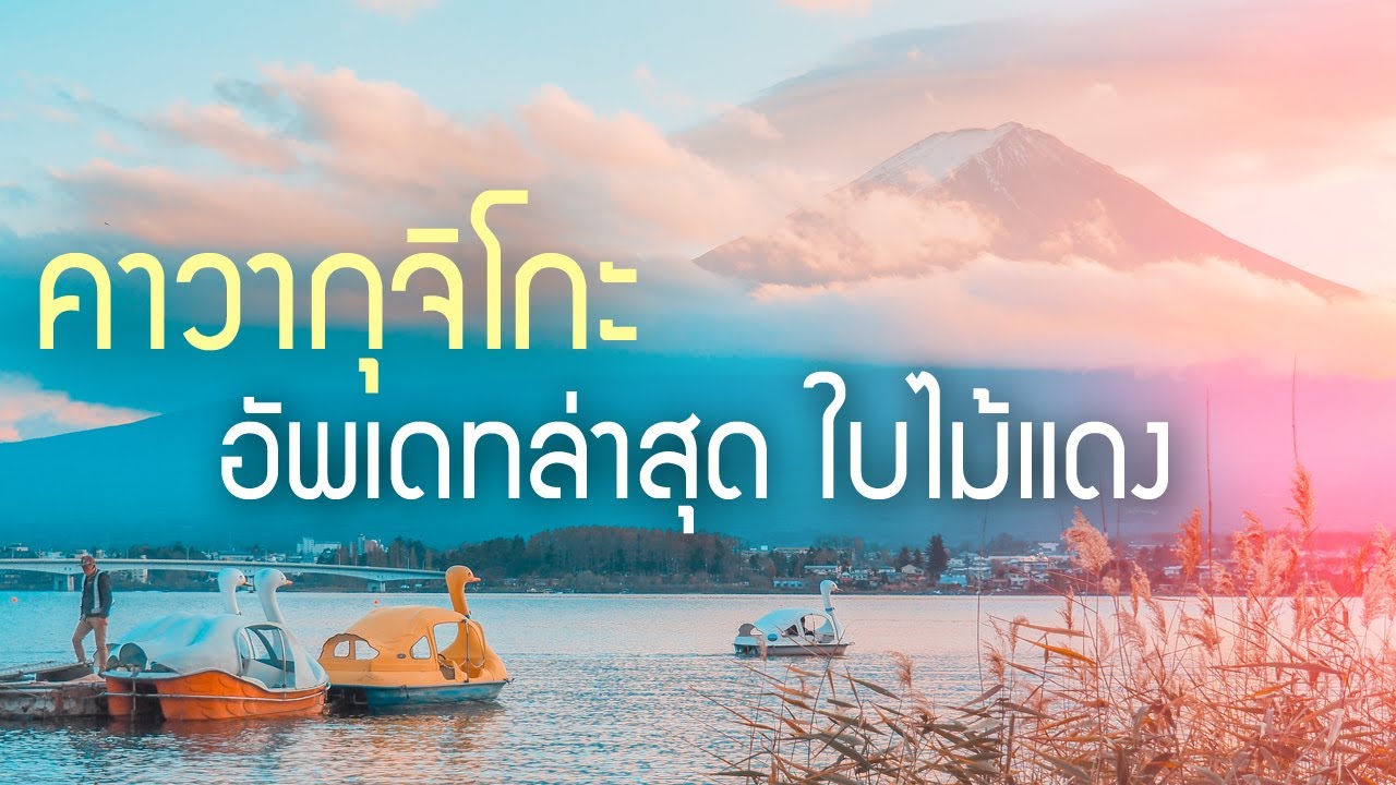 พาเที่ยวทะเลสาบคาวากุจิ ล่าสุด อุโมงค์ใบไม้แดง วิวฟูจิซังยามเย็น เที่ยวญี่ปุ่น Kawaguchi Fuji 河口湖