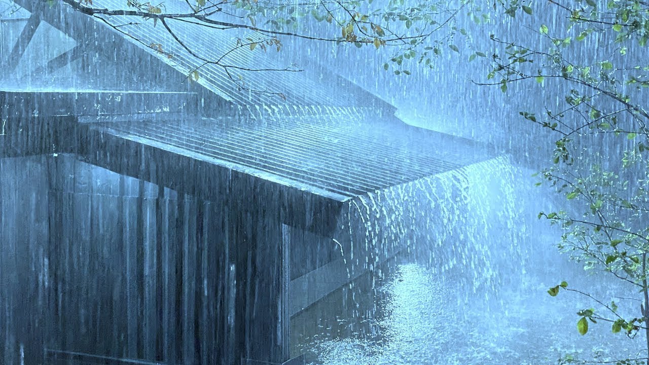 Soothing Relaxing Rain Sounds For Stress Relief - Peaceful In Foggy Forest, Rain Sound Natural