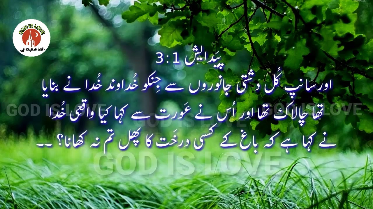 PAIDAISH 3, Bible Urdu Study, Genesis Chapter 3,Daily Hindi Bible,Online Hindi Bible ,God is love