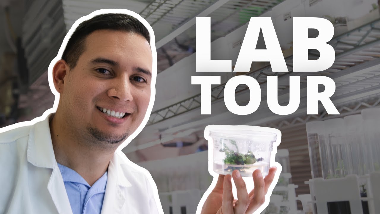 What REALLY Happens in PCT's Plant Tissue Culture Lab? (Lab Tour 2025)
