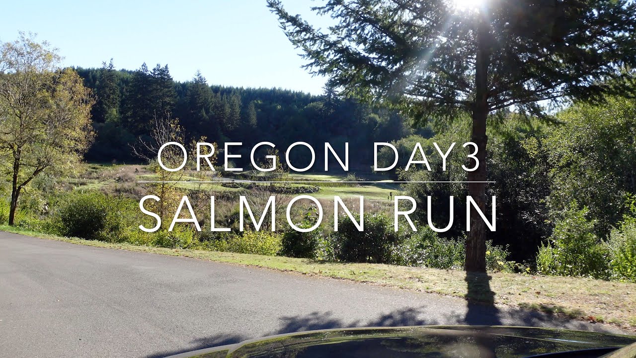 OREGON 23 DAY 3