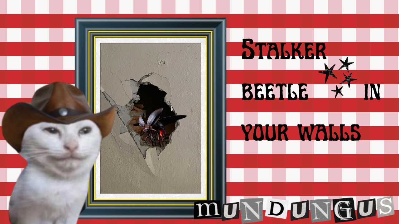 Stalker Beetle in your Walls