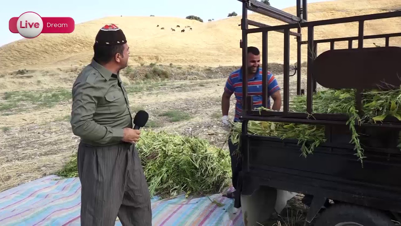 بەرنامەی دیدەنی گوندی بنەوشان