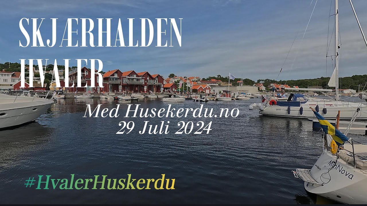 Sommer med Huskerdu på Skjærhalden 2024 🌞🚤
