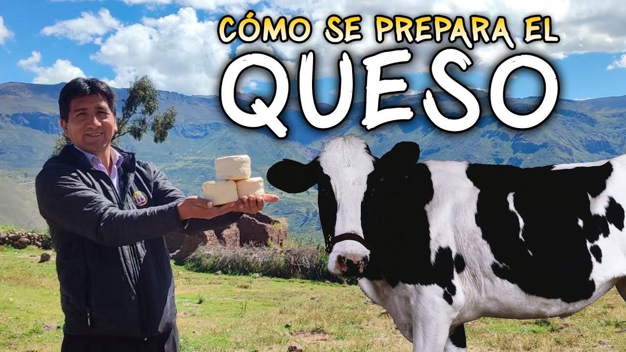 QUESO 100% NATURAL y la GANADERÍA de VACAS en HUANCAVELICA - Tantarpata | VLOG 2023