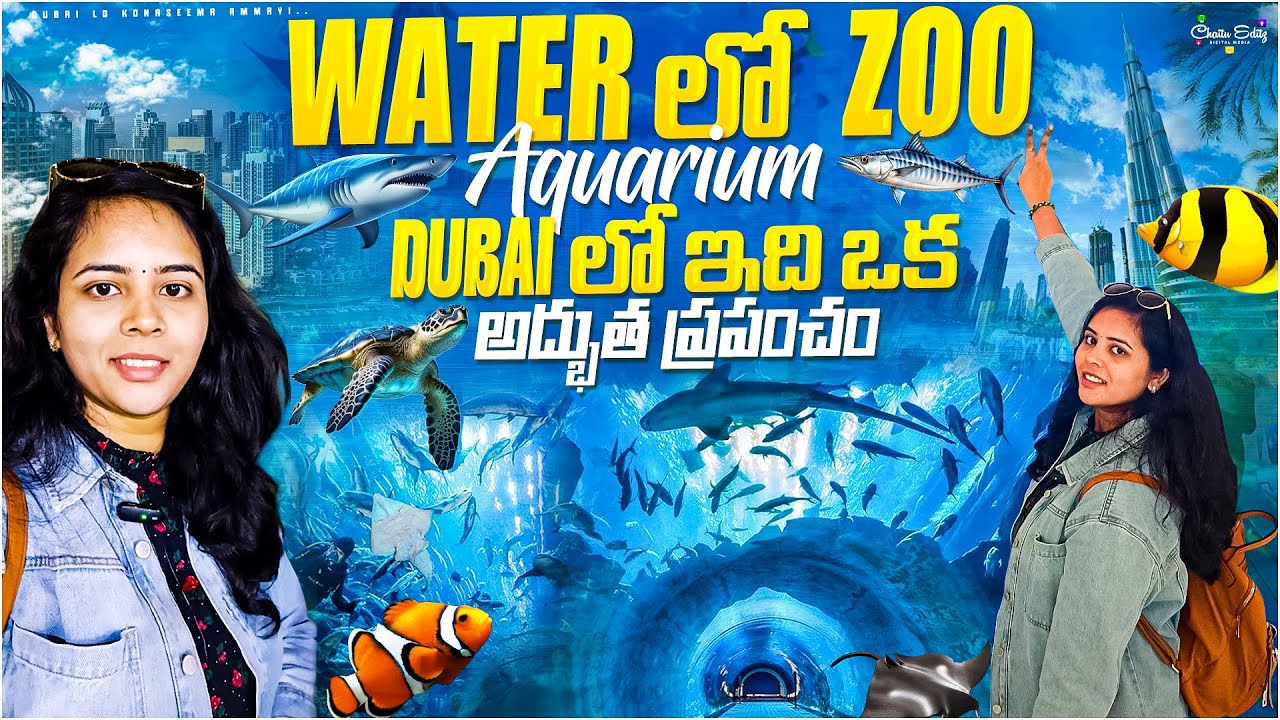 దుబాయ్‌లో ఇది మిస్ అవ్వకండి”|| Dubai aquarium & underwater zoo #teluguvlogs #dubailokonasemaammayi