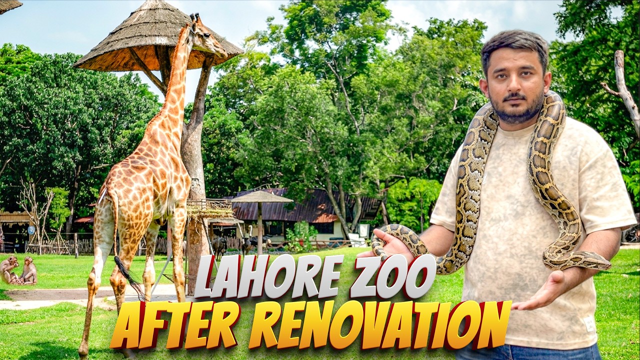 Lahore Zoo 2026 | After Renovation | New Animals Videos #zoo #lahorezoo