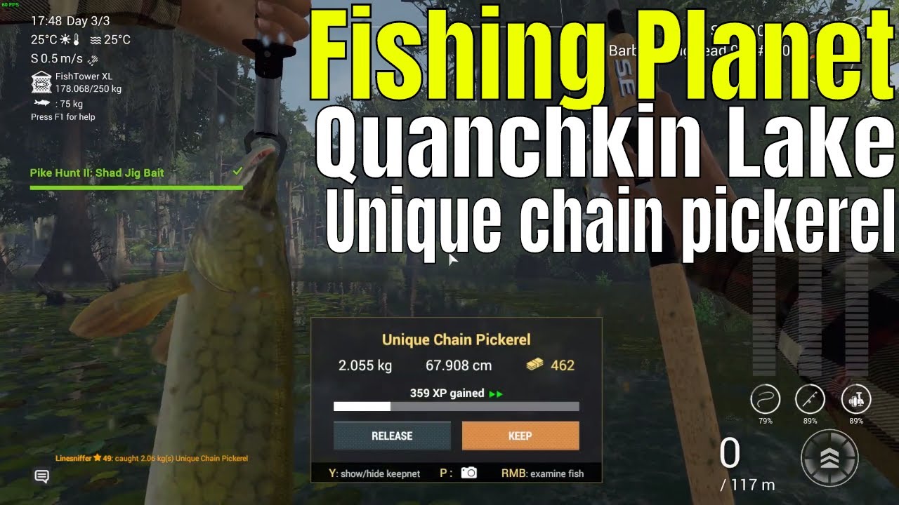 Fishing Planet | Pike hunt II: Shad jig bait Louisiana