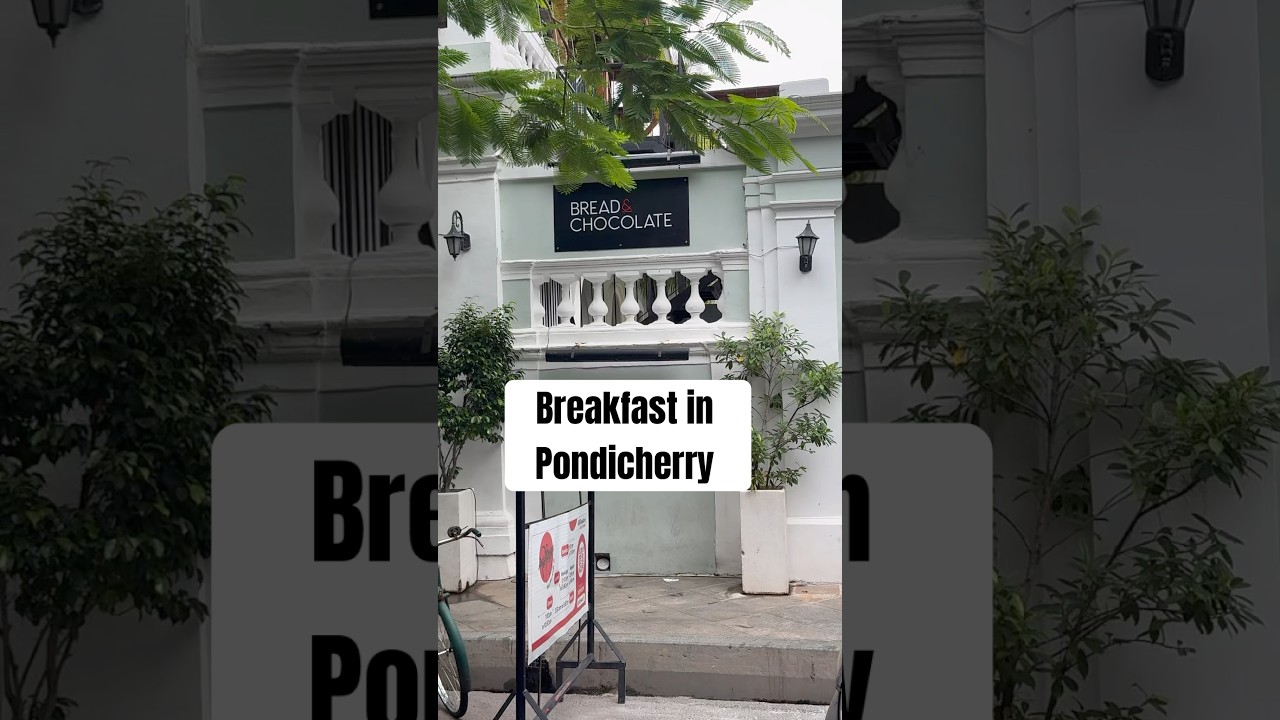Bread & chocolate pondicherry . Best cafe in pondy #pondicherry  #bestcafe #breakfast #crossiant