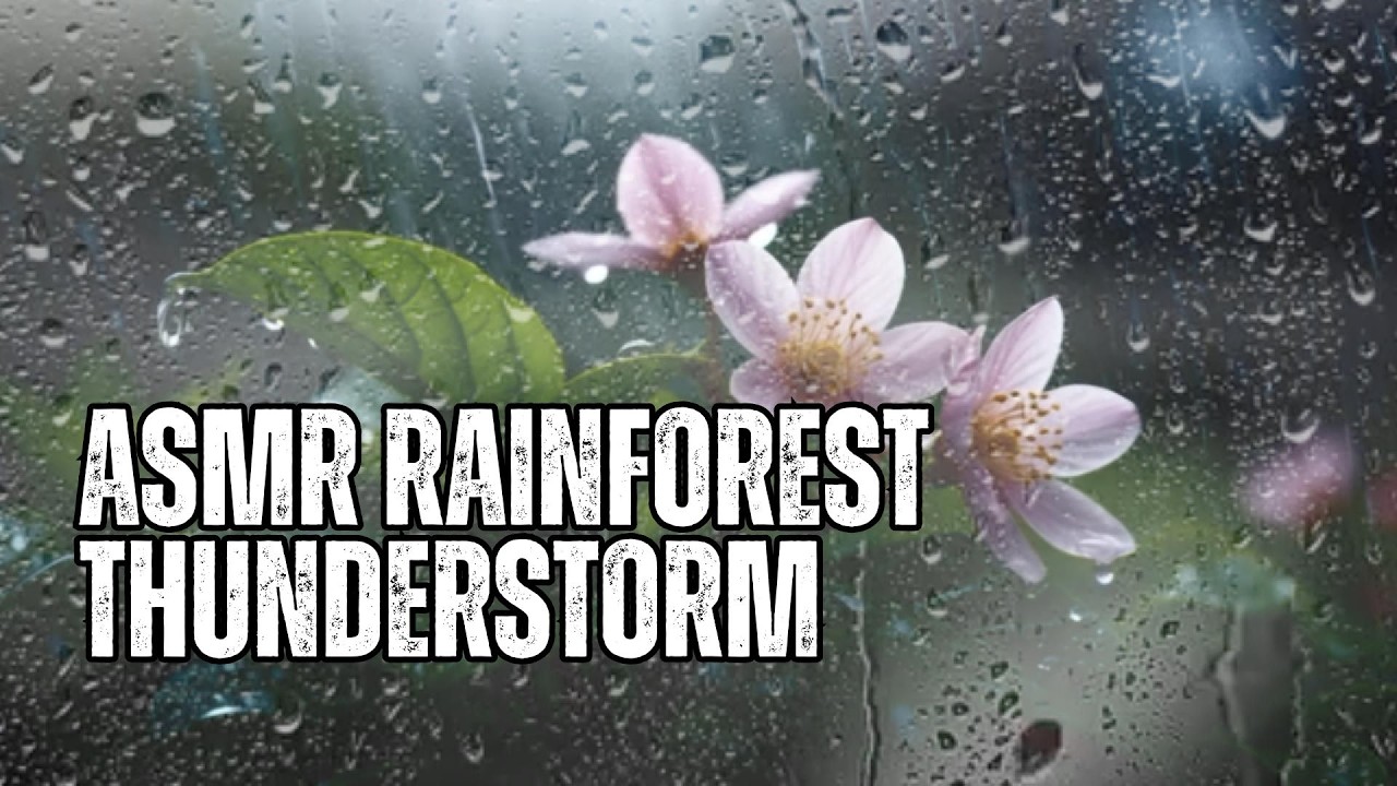 🌧️ ASMR Rainforest Thunderstorm for Deep Sleep & Relaxation