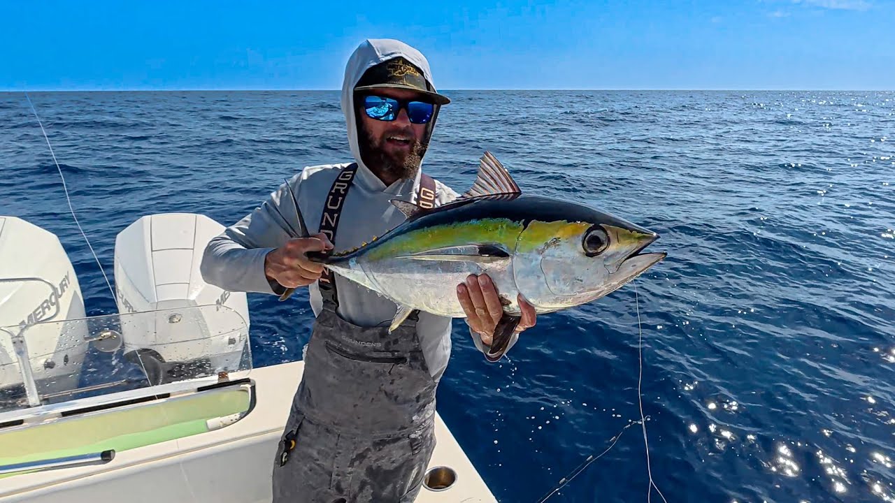 Bait Mission | I Needa Bonita | Tuna Bycatch