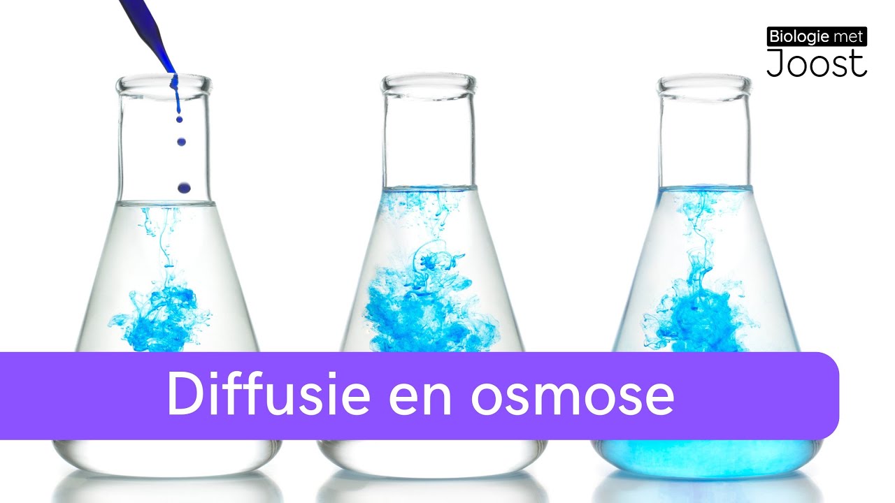Diffusie en osmose | Samenvatting | Havo