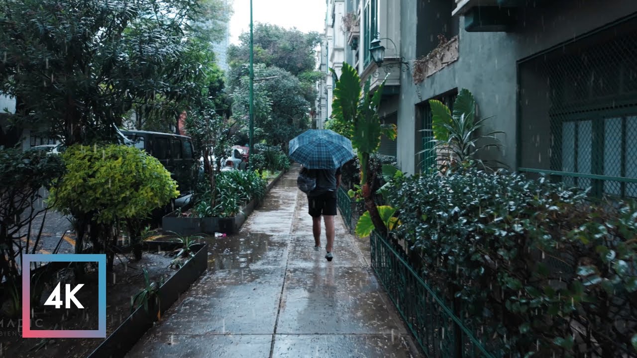 Gentle Rainfall Walk in Mexico City, Binaural Audio