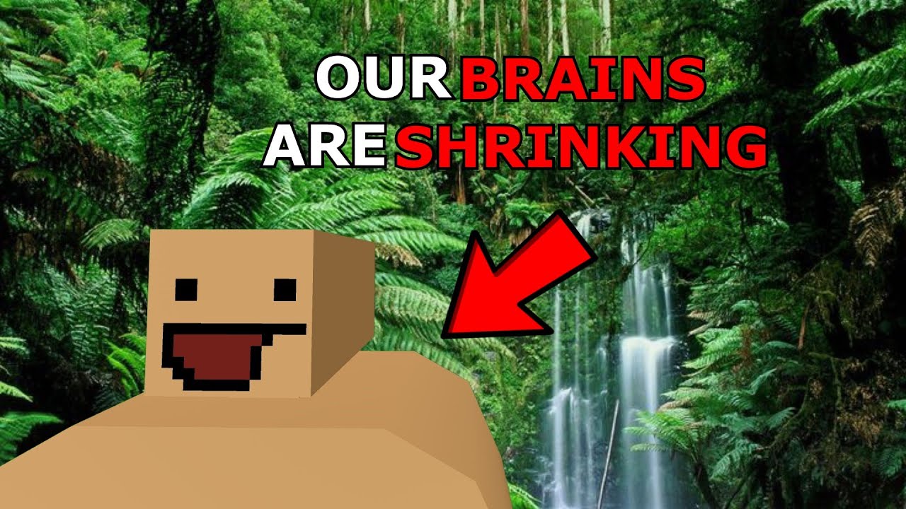 The average Unturned player has an IQ of 62