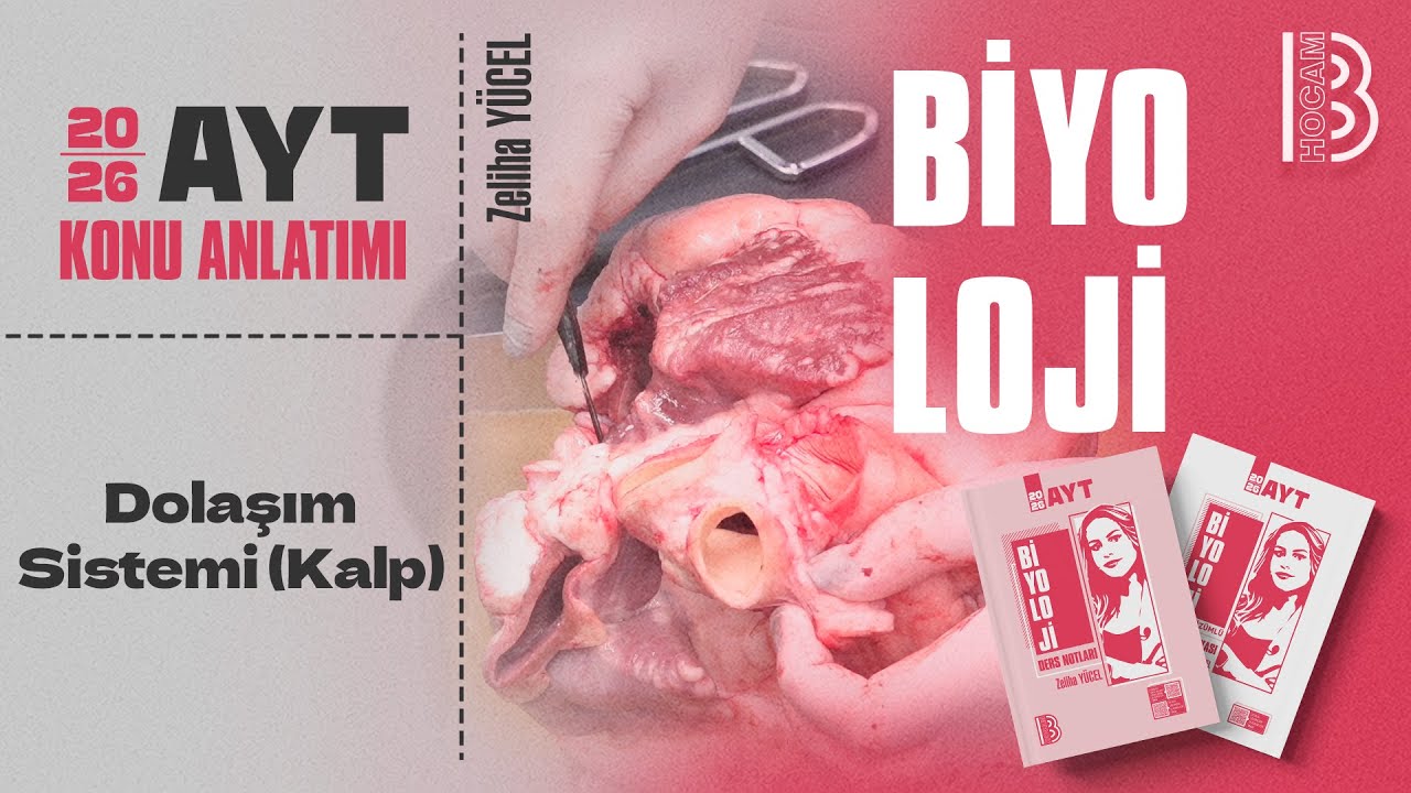 14) AYT Biyoloji - Dolaşım Sistemi (Kalp) - Zeliha Y&Uuml;CEL - 2026