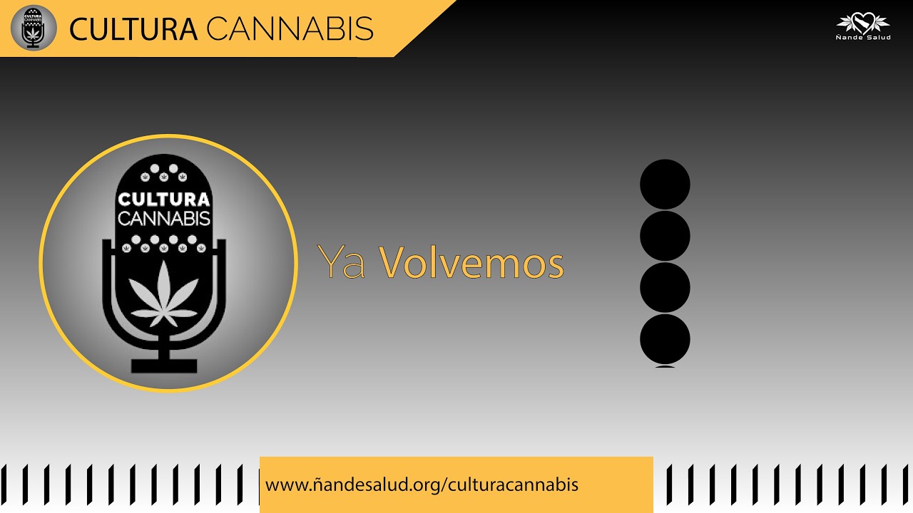 CULTURA CANNABIS 🌿📜