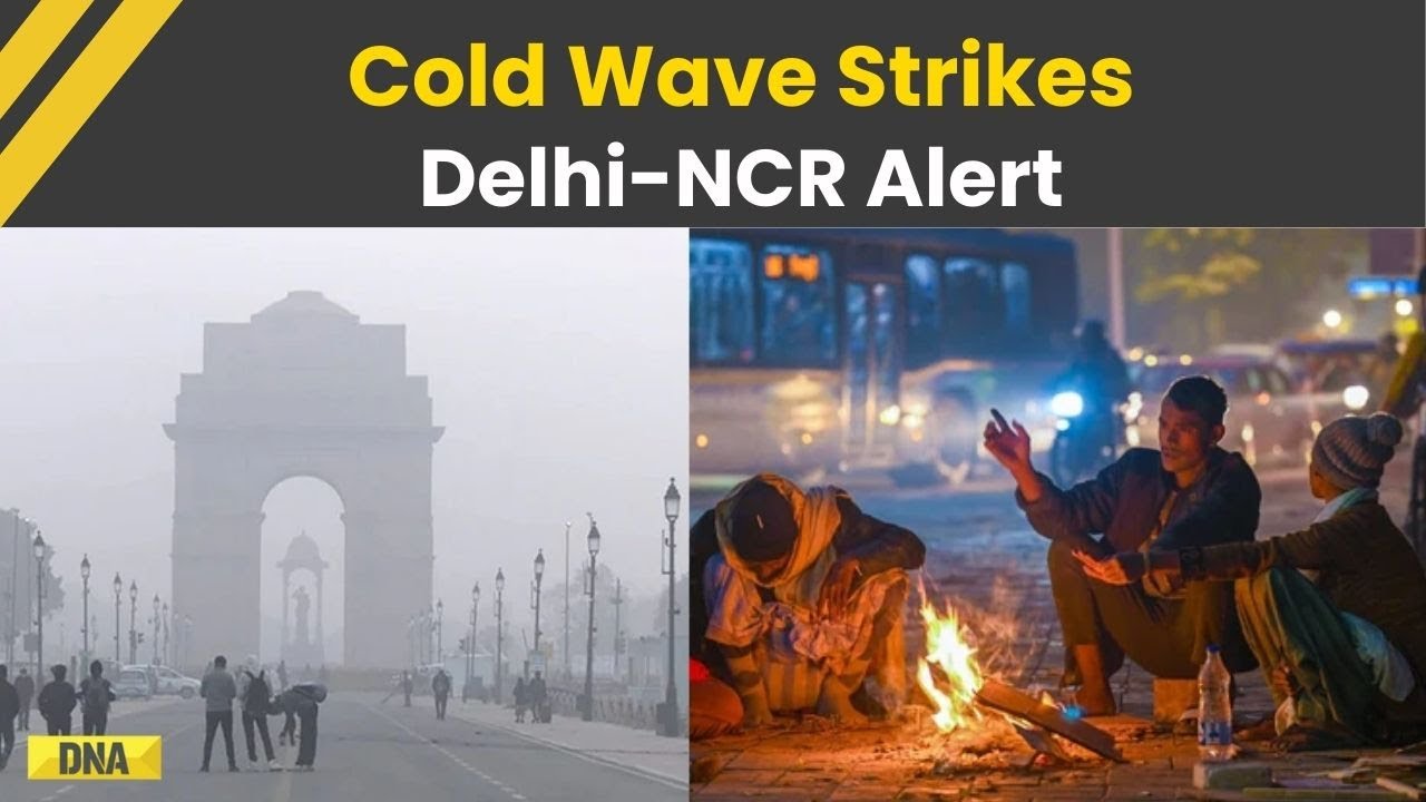 Delhi News: Delhi Shivers As Cold Wave Hits Hard | Delhi-NCR Weather Update & IMD Forecast