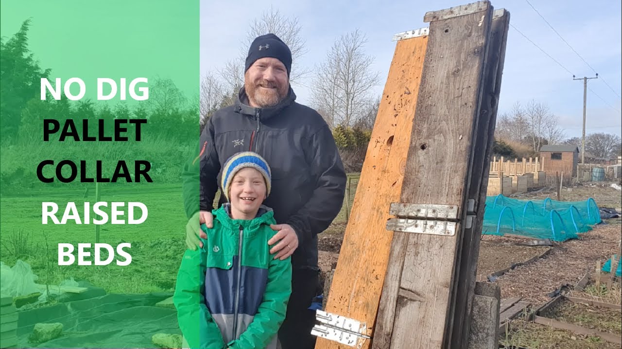 No Dig Pallet Collar Raised Beds