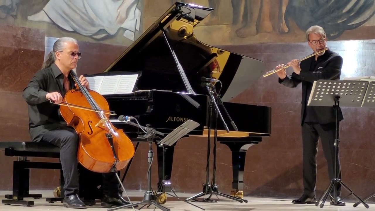 L. Pincini, G. Buttà, P. Zampini 
