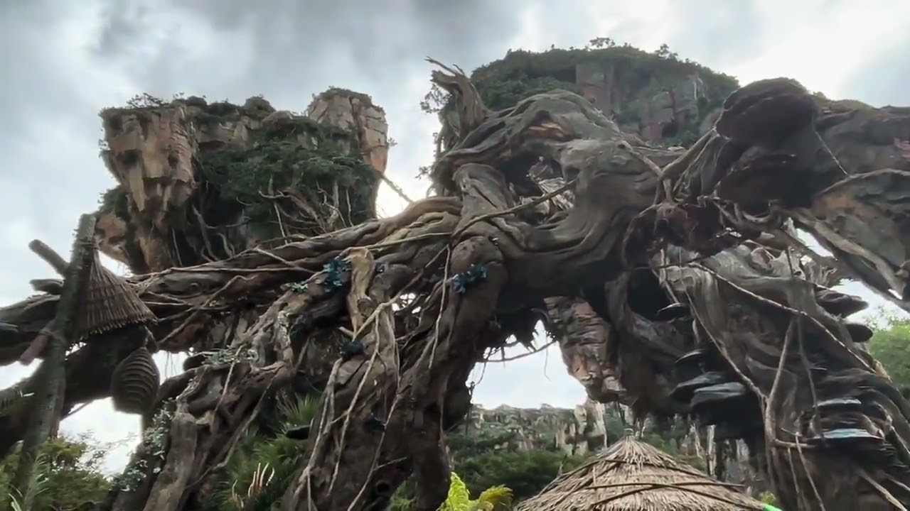 Disney&rsquo;s Pandora: The World of Avatar Full Walkthrough in 4K|Animal Kingdom| Walt Disney World 2026