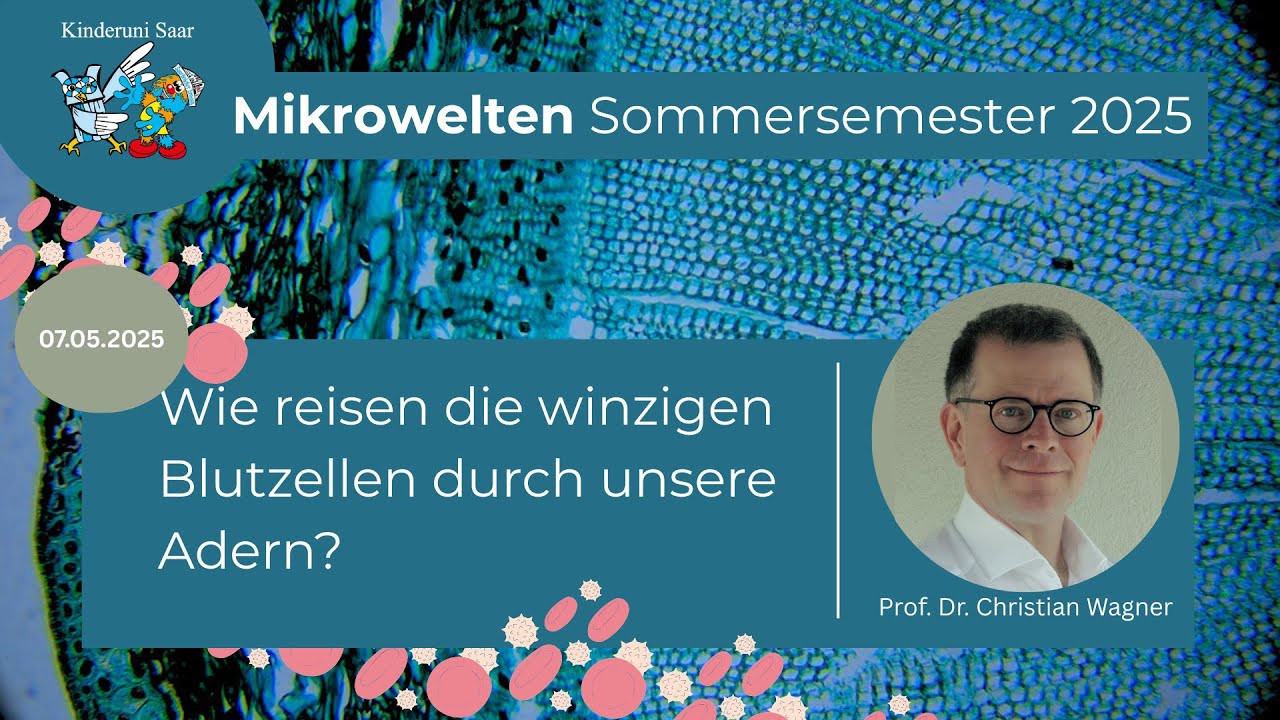 Wie reisen die winzigen Blutzellen durch unsere Adern? – Prof. Dr. Christian Wagner